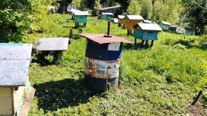 Очередной заезд на пасеку косим тачек. Пасека на Алтае.