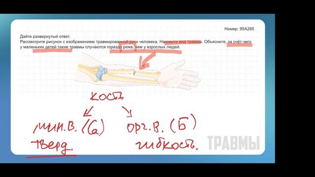 Задания 22 (человек)