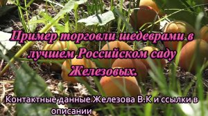 Пример торговли шедеврами в лучшем Российском саду Железовых.