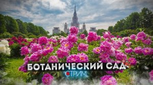 Ботанический сад – СТРИМ