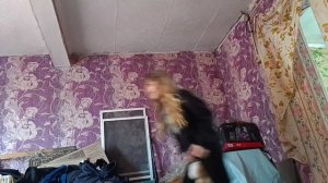 Пони 17-05-2026