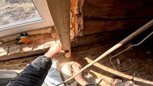 Купил заброшенный дом в деревне ! Родила и бросила его ! №45