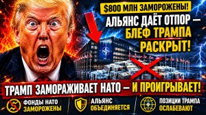 РАЗРЫВ МЕЖДУ МИФАМИ ТРАМПА И РЕАЛЬНОСТЬЮ НАТО ЦИФРЫ, КОТОРЫЕ ШОКИРУЮТ