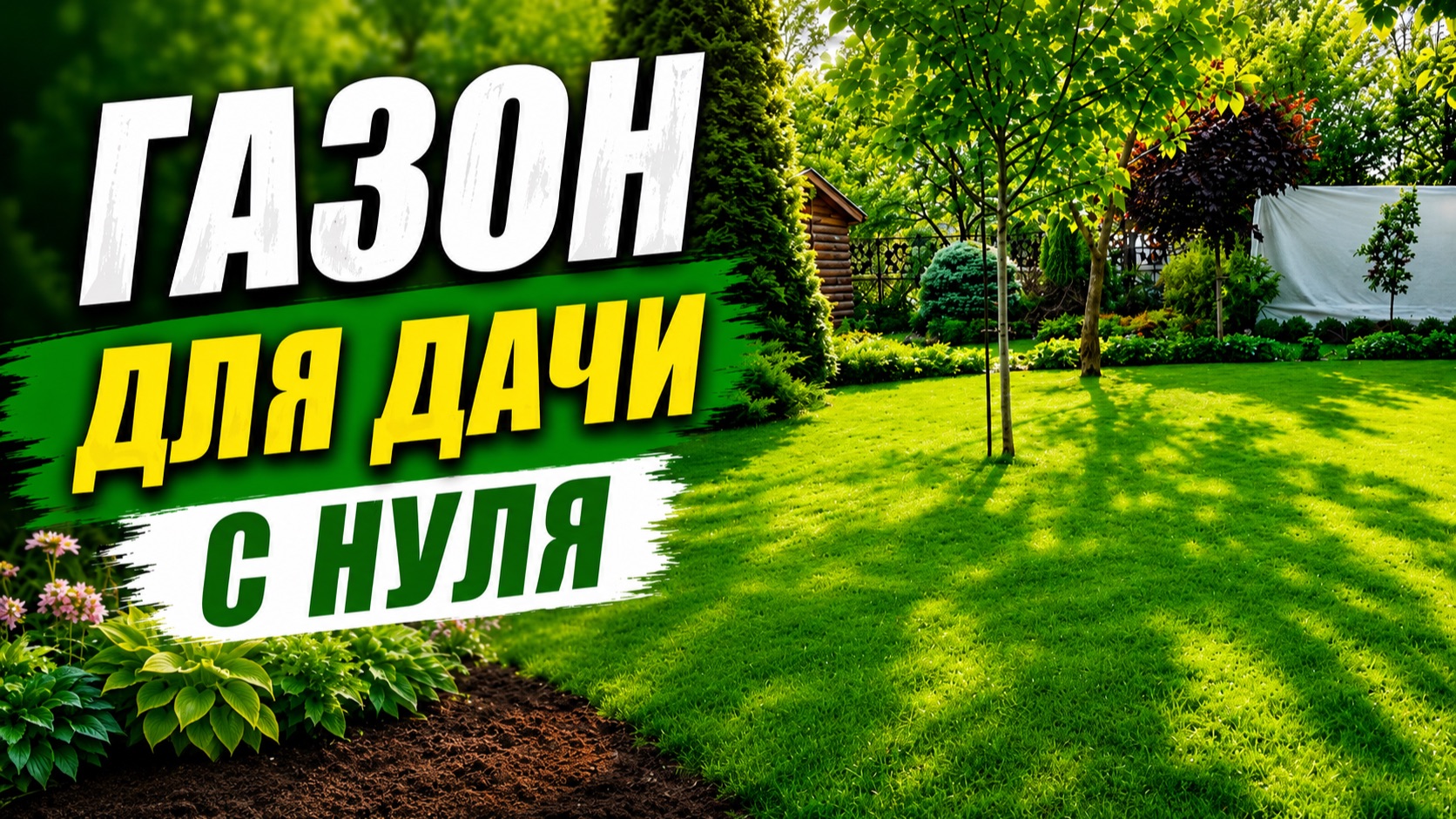НАШЕМУ ГАЗОНУ-25 лет! ОН В ОТЛИЧНОЙ ФОРМЕ!