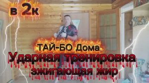 ТАЙ-БО ДОМА ЯДЕРНЫЙ УДАР ПО ЖИРУ.  #КАРДИО-ТРЕНИРОВКА + АНТИСТРЕСС, МИНУС ХОЛЕСТЕРИН И САХАР В КРОВИ