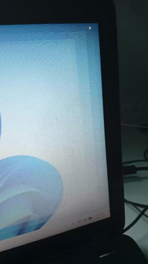 отвечаю на вопросы подпидеков