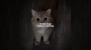отдай это моя мафына