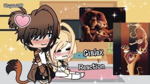 Youtube downloader thumbnail Alex and Gia reaction to GIALEX 2/2 || Madagascar Gacha Life 🦁💞🐆