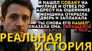 Я НАШЁЛ ПОТЕРЯННУЮ СОБАКУ. НА ЖЕТОНЕ БЫЛ АДРЕС, КОТОРЫЙ ИЗМЕНИЛ МОЮ ЖИЗНЬ НАВСЕГДА
