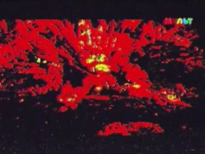 LeoandTig_epiosode-'end'mult2017avi