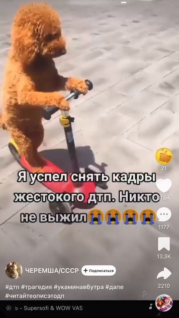 Жёсткое ДТП никто не выжил😭😭😭 смотреть онлайн