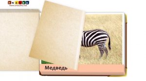 5. Учим названия животных - Карточки для детей  Животные и птицы
