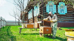 СОВРЕМЕННАЯ РОССИЯ | ЖИЗНЬ МОЛОДОЙ СЕМЬИ В УРАЛЬСКОЙ ДЕРЕВНЕ | КРЕСТЬЯНСКОЕ ХОЗЯЙСТВО ТАТАРИНОВЫХ
