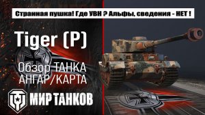 Tiger (P) обзор лучшей сборки оборудования, броня Тигр П тестим боем, делаем выводы