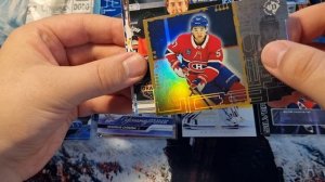 Upper Deck Hockey 2023-2024 Extended Series