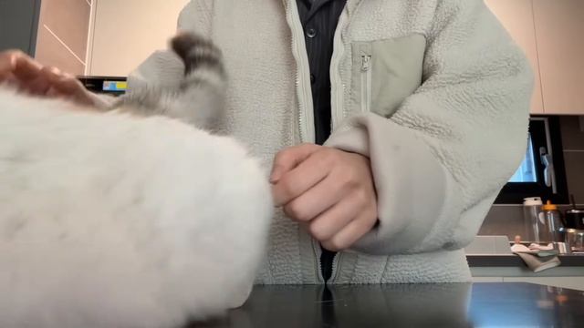 Одинокая жизнь в Корее , и ВЕРНЫЙ Пушистый друг.....Работа, Отдых! Часть 8