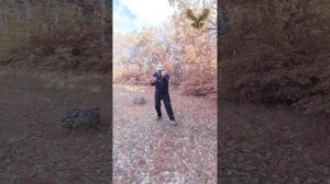 Чхарёк Original