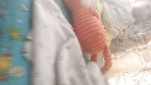 VID_20260517_154555.mp4