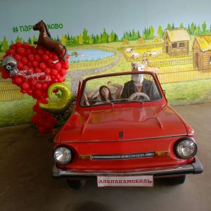 рассматриваю