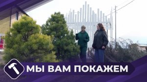 Мы вам покажем: Обрезка живой изгороди