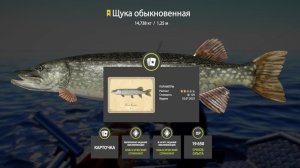 САМЫЕ ИНТЕРЕСНЫЕ РАЗДАЧИ ФАРМА И ТРОФЕЕВ НА 17.05 ОБЗОР ВОДОЕМОВ В РУССКОЙ РЫБАЛКЕ 4 РР4