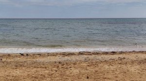 Россия 🇷🇺 Феодосия !!! Весна ☀️🌱🌳 🌲🌿💐🌊🚢 Год 2026