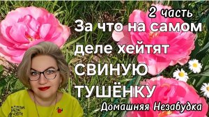 2 часть. За что на самом деле хейтят СВИНУЮ ТУШЁНКУ❓️