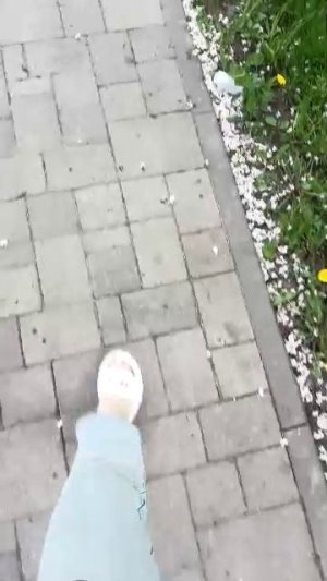 цветущий город👌май хорошего дня всем ✌️
