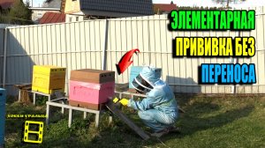 ОБЯЗАТЕЛЬНАЯ ОБРАБОТКА КИСЛОТАМИ ПЧЕЛ ОТ КЛЕЩА ВАРРОА ПЕРЕД УСТАНОВКОЙ МАГАЗИНОВ. ПЧЕЛОВОДСТВО 26-14