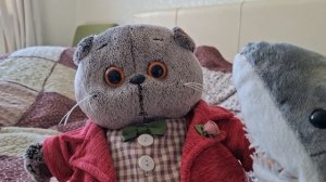 КОТ БАСИК. Новые постояльцы.