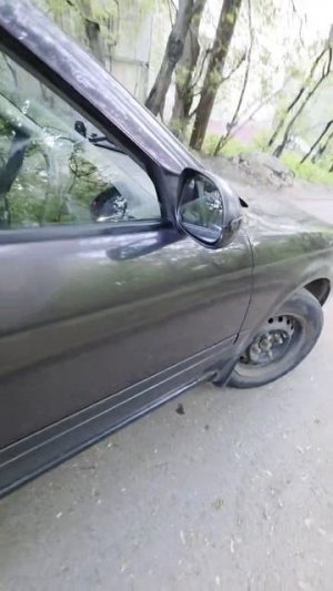 сан 2001 газmp4