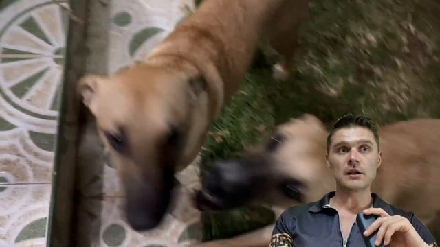 ВОЙНА БУДЕТ ОЧЕНЬ ДОЛГО - ФИЦО