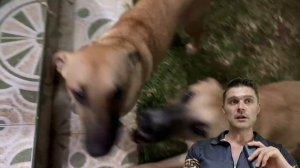ВОЙНА БУДЕТ ОЧЕНЬ ДОЛГО - ФИЦО