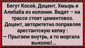 Как Джентльмены Удачи из колонии бежали! #анекдоты #прикол #ржака