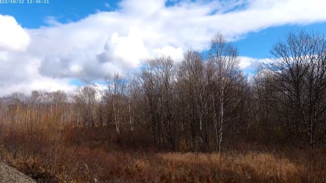 Сахалин далекий и близкий.Смирных за речкой ищем КЭЧ