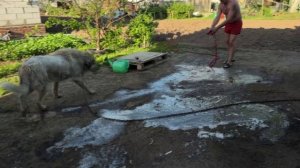 Водные процедуры)