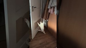 смешная подборка