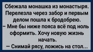 Как монашка из монастыря сбежала! #анекдоты #прикол #ржака