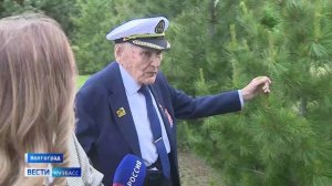 Ветеран ВОВ Анатолий Терехов посетил Волгоград, где  ранее высадил аллею сибирских кедров