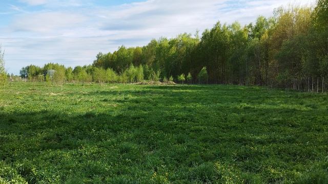 ЖИВИТЕЛЬНАЯ СИЛА