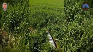 Системой «Купол Донбасса» и сводными мобильными огневыми группами за неделю предотвращены 38 терр...