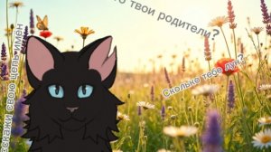 Всё обо мне.