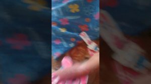 VID_20260517_154545.mp4