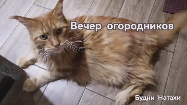Рабочий день у огородника не заканчивается вечером !