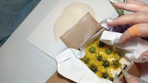 Сухоцветы для летнего маникюра