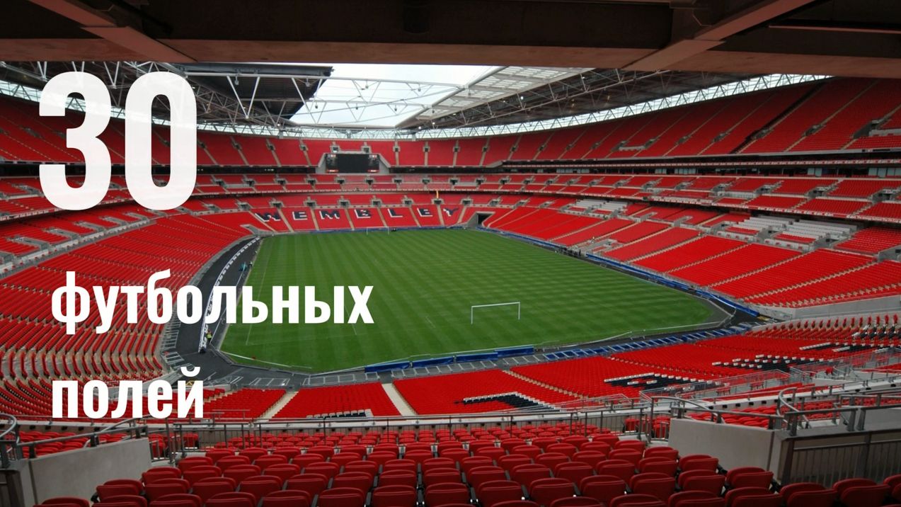 Сервис аренды на IMoscow (https://i.moscow/): как работает нефинансовая поддержка бизнеса