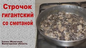 Строчки гигантские со сметаной -  весенний деликатес!