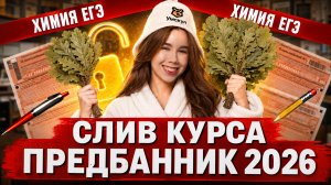 Слив 1 дня Предбанника по химии ЕГЭ | Общая химия: атомы, молекулы, строение веществ и многое другое