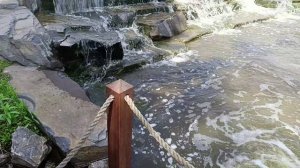 Красоты родного края