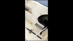 Сима на троллинговую блесну Assist №130 от Mr. Musurok 🎣